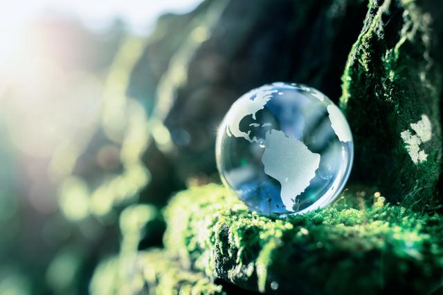 World_Sustainability_Light World_Sustainability_Light